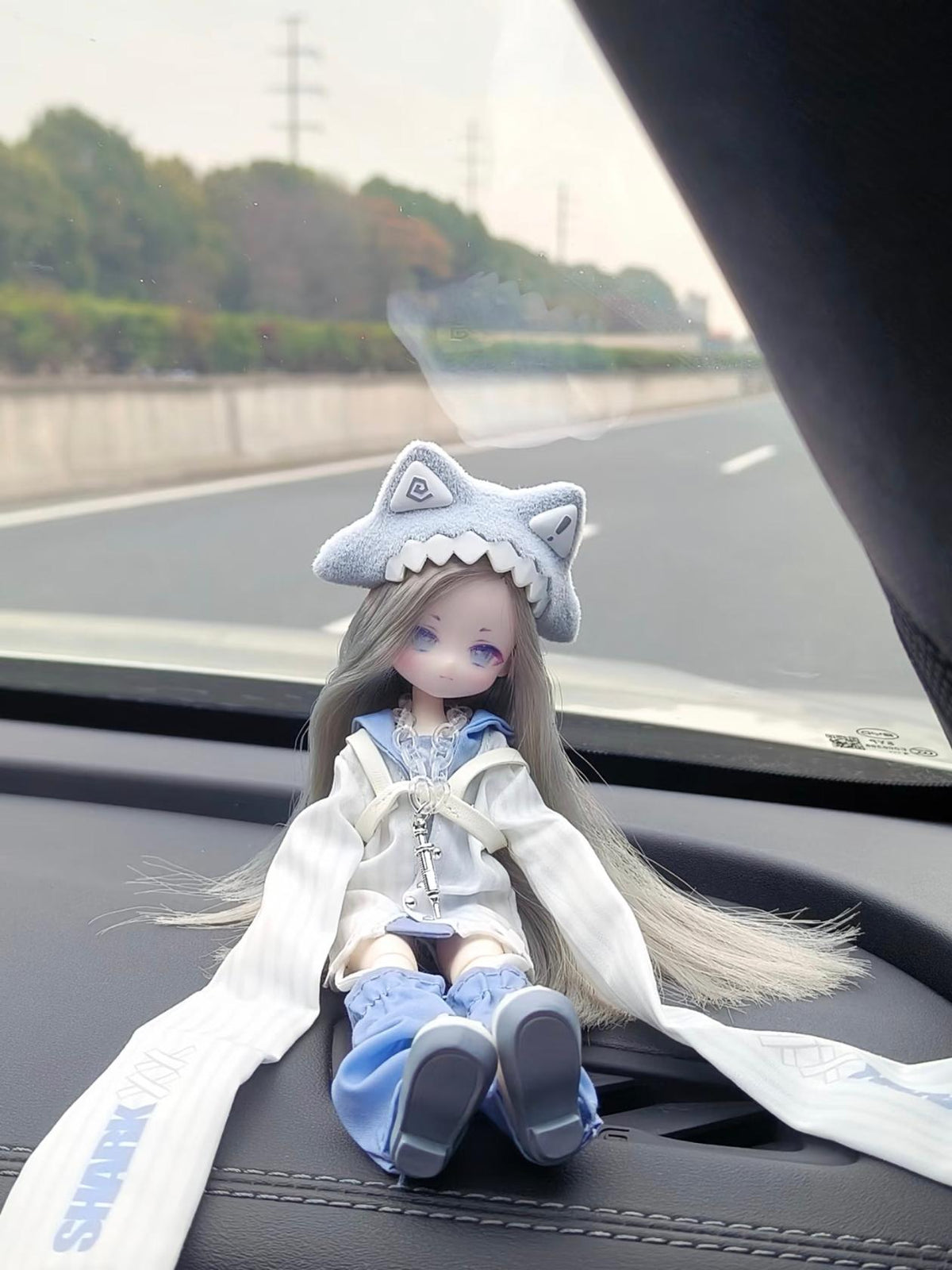 可愛い怪談シリーズ BJD ブラインドドール 1/8スケール 約20cm 全身可動 植毛ヘア 着せ替え人形（ランダム1体）
